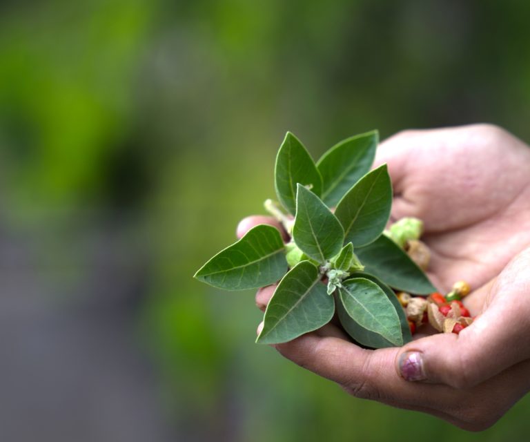 Universal Credit News Updates On Benefits And Support