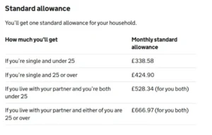 Standard Allowance